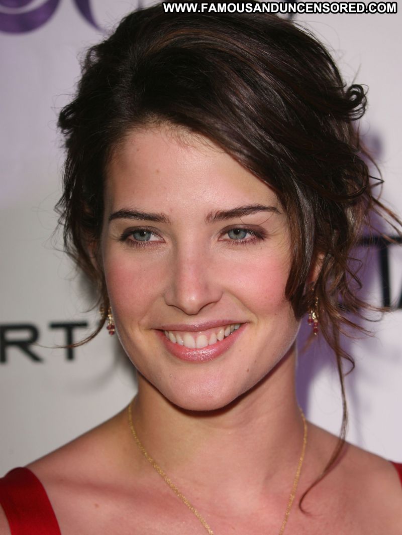 Cobie Smulders Fakes